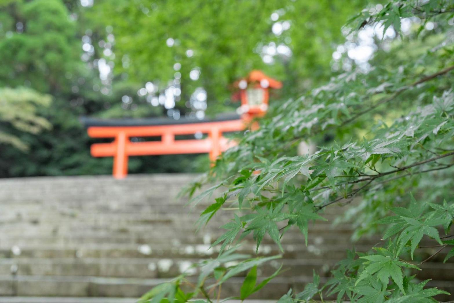 Hotel Kirishima Momijidani Seiryuso Exterior foto